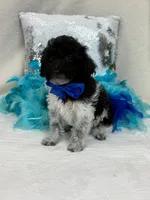 processed/88ade5a2-a45e-464e-811d-e978c368a8b0/listing/dcf01a67-d42b-4fef-a3eb-3fc6a14e9c2e/40272cbb-c55e-4050-bdea-6b7881b5ebd3