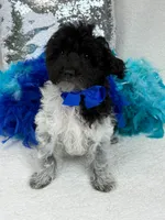 processed/88ade5a2-a45e-464e-811d-e978c368a8b0/listing/dcf01a67-d42b-4fef-a3eb-3fc6a14e9c2e/47bf7b4c-f0da-475a-8e1d-ea481a5256d8