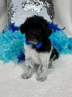 processed/88ade5a2-a45e-464e-811d-e978c368a8b0/listing/dcf01a67-d42b-4fef-a3eb-3fc6a14e9c2e/564d7720-8fe1-4718-9851-5179bfd47968