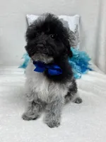 processed/88ade5a2-a45e-464e-811d-e978c368a8b0/listing/dcf01a67-d42b-4fef-a3eb-3fc6a14e9c2e/739d4375-2034-4f37-8f9a-367142a1c174