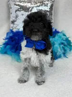 processed/88ade5a2-a45e-464e-811d-e978c368a8b0/listing/dcf01a67-d42b-4fef-a3eb-3fc6a14e9c2e/7dc474b2-8b09-41b1-a8ef-388aeb900a38