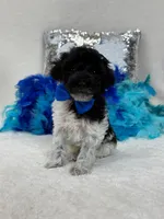 processed/88ade5a2-a45e-464e-811d-e978c368a8b0/listing/dcf01a67-d42b-4fef-a3eb-3fc6a14e9c2e/f9e08f26-914d-4c63-91ac-ade2e960c87c