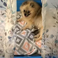 processed/88bdb755-59bc-481f-a333-5002cbdf629e/facility/33451be2-95b4-40c2-8279-f678dcc8b0be