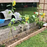 processed/88bdb755-59bc-481f-a333-5002cbdf629e/facility/393cf2fa-c79f-4fb2-94e3-5422e38b2d2a