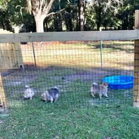 processed/88bdb755-59bc-481f-a333-5002cbdf629e/facility/f174e9cb-7828-4f48-967d-e80bb0e7f7c4