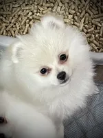 processed/88bdb755-59bc-481f-a333-5002cbdf629e/listing/8c4f7e51-09f7-47b8-8c45-5857f40185a1/39032378-4801-46c7-8114-323712b2bd64