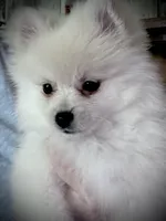 processed/88bdb755-59bc-481f-a333-5002cbdf629e/listing/8c4f7e51-09f7-47b8-8c45-5857f40185a1/5aab4cab-44bd-40b4-8b0a-36e5927f52e6