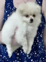 processed/88bdb755-59bc-481f-a333-5002cbdf629e/listing/8c4f7e51-09f7-47b8-8c45-5857f40185a1/706c66ea-2209-4975-856f-3dd84f32b9d6