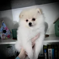 processed/88bdb755-59bc-481f-a333-5002cbdf629e/listing/8c4f7e51-09f7-47b8-8c45-5857f40185a1/710537d0-09ce-41c9-8402-21973a42319f