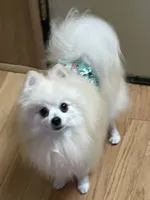 processed/88bdb755-59bc-481f-a333-5002cbdf629e/listing/8c4f7e51-09f7-47b8-8c45-5857f40185a1/c1a6bc89-0457-4728-871e-ef06adb4bc95