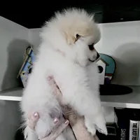 processed/88bdb755-59bc-481f-a333-5002cbdf629e/listing/8c4f7e51-09f7-47b8-8c45-5857f40185a1/c9ddcae3-2f01-4c11-89fb-ea1fc10af1ad