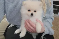 processed/88bdb755-59bc-481f-a333-5002cbdf629e/listing/8c4f7e51-09f7-47b8-8c45-5857f40185a1/f35c24c3-8a91-425f-9422-04b7adf9f32d