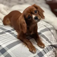 processed/88c1c891-b66c-4941-97e6-c7efbd806b67/facility/4127a0ff-4db1-4840-80b3-fb786d86c4a5