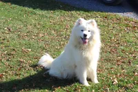 processed/88c5a1ea-5cb1-4a23-9d71-dbd99fb6d557/listing/2bd3043f-9681-4298-99b4-f65a2f20c2f7/22819c72-f85f-4c90-ad51-020231129aa1