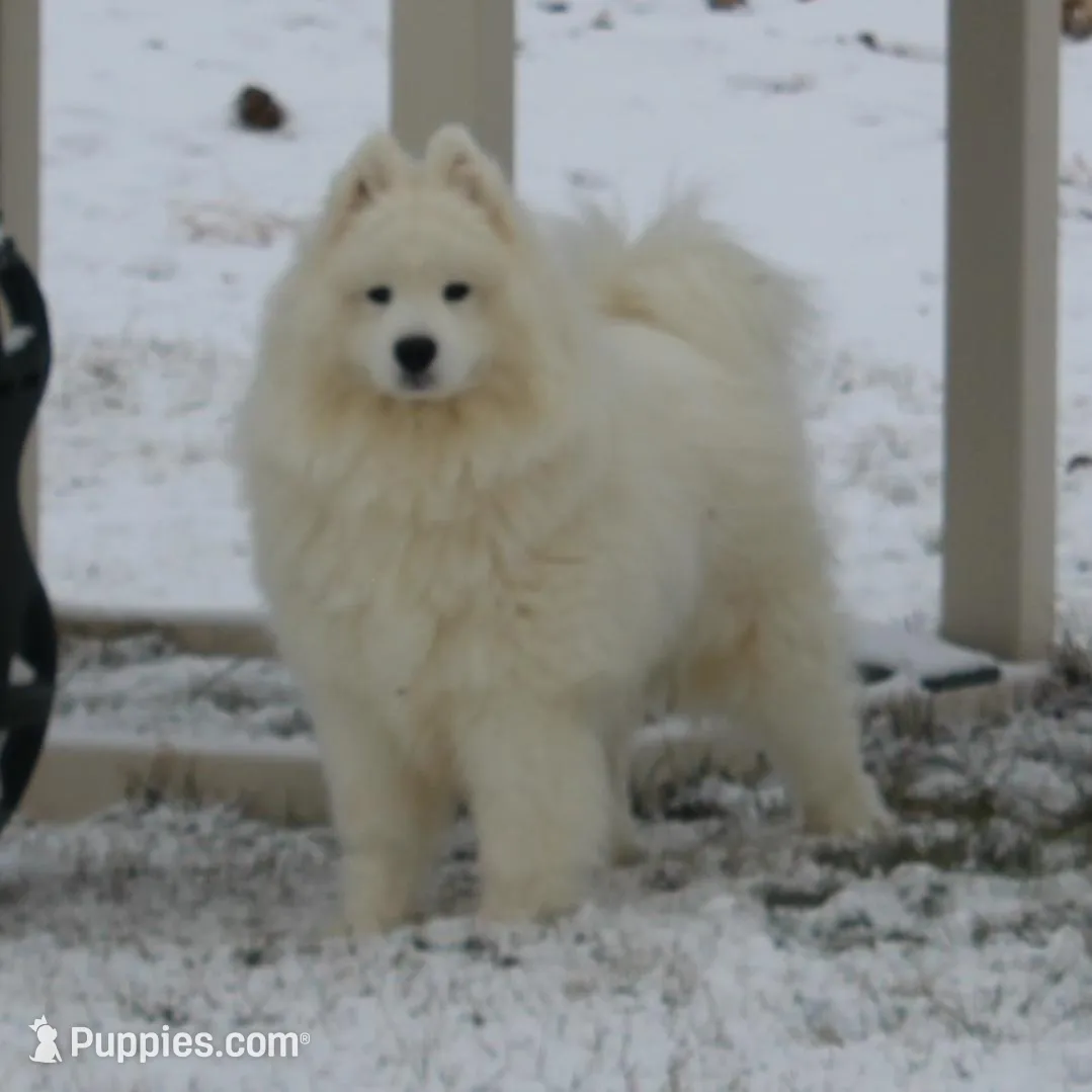 processed/88c5a1ea-5cb1-4a23-9d71-dbd99fb6d557/listing/2bd3043f-9681-4298-99b4-f65a2f20c2f7/e6103249-7107-480a-9efe-0638b32179b6