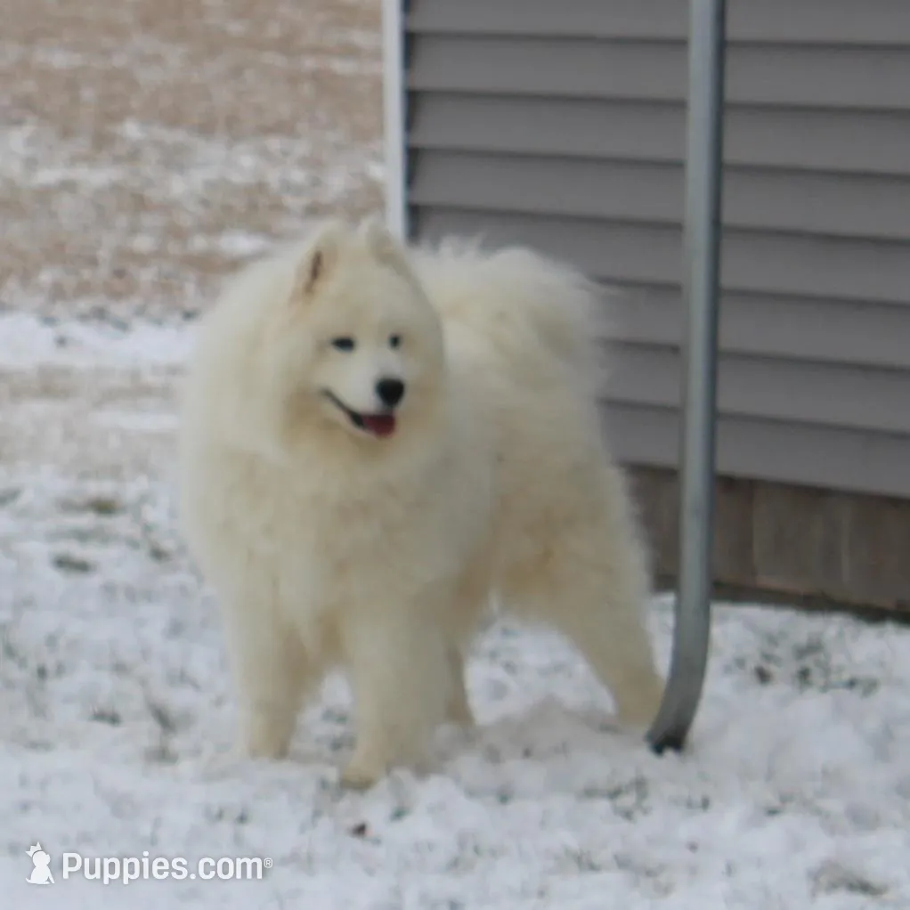 processed/88c5a1ea-5cb1-4a23-9d71-dbd99fb6d557/listing/2bd3043f-9681-4298-99b4-f65a2f20c2f7/e9021c21-0bd4-4653-a317-d8e41af0411c