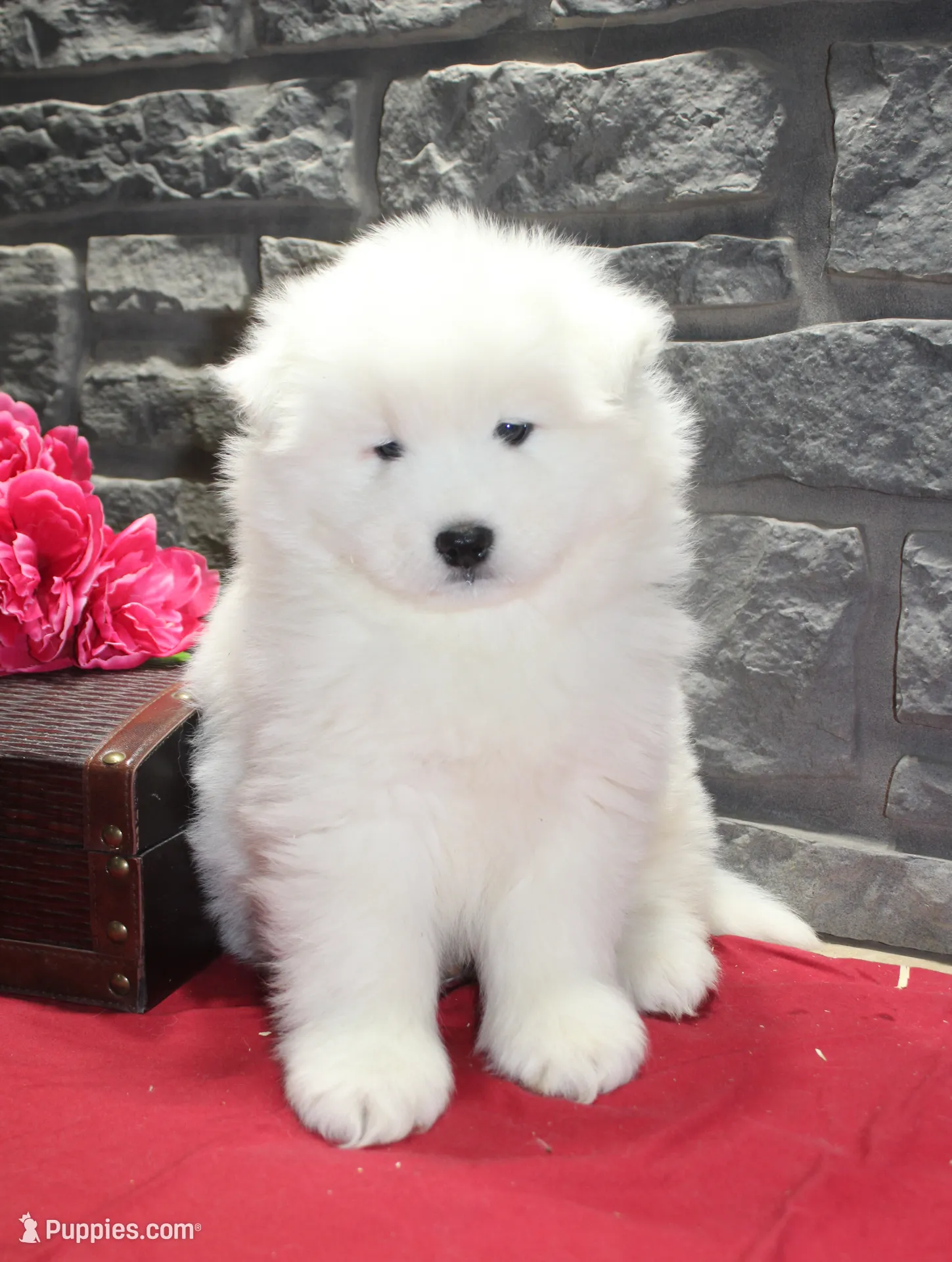 processed/88c5a1ea-5cb1-4a23-9d71-dbd99fb6d557/listing/2bd3043f-9681-4298-99b4-f65a2f20c2f7/f6660e64-0b57-4cd1-914d-da14947055a1