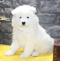 processed/88c5a1ea-5cb1-4a23-9d71-dbd99fb6d557/listing/8bb4e5f8-73d9-422b-8ab9-396f579edf75/33110c9a-69c9-4d3d-88e3-cbf8a8ff0665