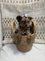 processed/88c60a4d-7790-4b0f-9b13-79957bda7304/listing/ad4263fc-9357-4056-8c0d-c9300a147f22/2765b56a-1537-43ec-b405-949520aaed0d