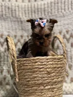 processed/88c60a4d-7790-4b0f-9b13-79957bda7304/listing/ad4263fc-9357-4056-8c0d-c9300a147f22/451d4ed3-c4a8-44ff-93d5-2b5153ef2b33