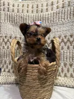 processed/88c60a4d-7790-4b0f-9b13-79957bda7304/listing/ad4263fc-9357-4056-8c0d-c9300a147f22/5dfd16cd-3a9d-4cda-8293-a76f31d71655