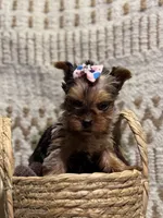 processed/88c60a4d-7790-4b0f-9b13-79957bda7304/listing/ad4263fc-9357-4056-8c0d-c9300a147f22/8666c139-3c40-485d-8e1a-79600c7d339b