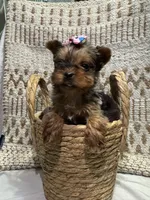 processed/88c60a4d-7790-4b0f-9b13-79957bda7304/listing/ad4263fc-9357-4056-8c0d-c9300a147f22/8817bfa1-18cf-4f81-ad4a-40e048f75c61