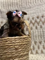 processed/88c60a4d-7790-4b0f-9b13-79957bda7304/listing/ad4263fc-9357-4056-8c0d-c9300a147f22/97bbed84-3767-4231-9563-5faedd8f93e0