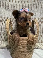 processed/88c60a4d-7790-4b0f-9b13-79957bda7304/listing/ad4263fc-9357-4056-8c0d-c9300a147f22/b2b2910b-a323-4e1f-b775-e98c1896a5f7