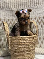 processed/88c60a4d-7790-4b0f-9b13-79957bda7304/listing/ad4263fc-9357-4056-8c0d-c9300a147f22/cbf8594f-b230-4e15-9045-880a3b0101a0