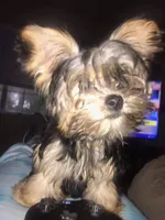 processed/88cf7509-1c53-4e74-afa4-e31bdaa2b894/facility/23b2f221-24a9-48ea-9b28-16c656460a96