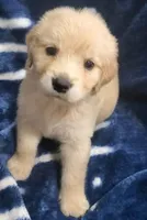 processed/88cf7509-1c53-4e74-afa4-e31bdaa2b894/facility/9ea1eff4-3303-48c4-afa6-b46b9f38eb12