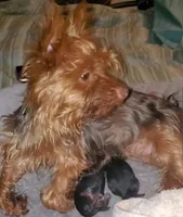 processed/88cf7509-1c53-4e74-afa4-e31bdaa2b894/facility/d64afd3c-8dc4-4c25-90ef-9bb3c995141e