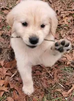 processed/88cf7509-1c53-4e74-afa4-e31bdaa2b894/facility/db93a5aa-904c-47f3-b424-6f306e150acb