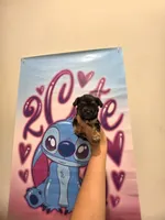 Teddy 🧸 , a male Yorkshire Terrier and Morkie for sale in Ocala, FL – 6 of 8