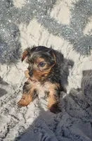 processed/88cf7509-1c53-4e74-afa4-e31bdaa2b894/listing/d45d6a68-ba6a-4cbe-b3be-9c1e87cb2b5a/99af9ddf-ebfb-463d-9280-a5acd1259985