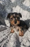 processed/88cf7509-1c53-4e74-afa4-e31bdaa2b894/listing/d45d6a68-ba6a-4cbe-b3be-9c1e87cb2b5a/e98e2bb8-135f-4bc7-b920-23120ce6ebf3