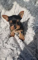 processed/88cf7509-1c53-4e74-afa4-e31bdaa2b894/listing/e52e0fa2-dfcb-461b-b3e5-93b5fe2c2c8a/05fa894a-8e46-4e2a-b4b8-f4ae9862d785