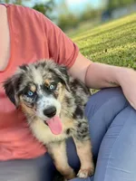 processed/88d28ce4-0d6e-4f89-baba-c02c28ab4805/facility/1e7083e4-4a9c-4ab2-b742-45b3cfca0427