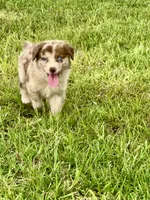 processed/88d28ce4-0d6e-4f89-baba-c02c28ab4805/facility/7659c792-3087-48e7-a4e5-523376b9e109