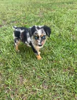 processed/88d28ce4-0d6e-4f89-baba-c02c28ab4805/facility/7cd55b14-dfed-44fd-899c-3746e7e2dab5