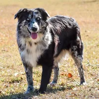 processed/88d28ce4-0d6e-4f89-baba-c02c28ab4805/facility/8c34a1be-e0a8-4718-b978-6cd8efda6a26