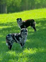 processed/88d28ce4-0d6e-4f89-baba-c02c28ab4805/facility/af214098-7cf6-40cc-9651-9d938ce3249e