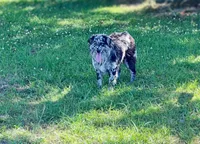 processed/88d28ce4-0d6e-4f89-baba-c02c28ab4805/facility/d3dfe8a9-2d14-4707-ab2b-7ce91fc1ddd0