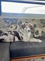 processed/88d28ce4-0d6e-4f89-baba-c02c28ab4805/facility/f2ee79cf-db64-48ad-970a-3e7648b3edad