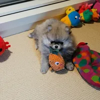 processed/88d7dab5-b272-4f49-bf88-119624c1536f/facility/5bdc637d-b77f-490d-ba59-e25ec7776ab0