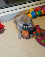 processed/88d7dab5-b272-4f49-bf88-119624c1536f/facility/5bdc637d-b77f-490d-ba59-e25ec7776ab0