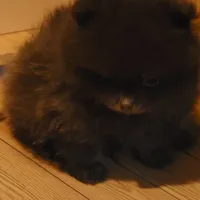 processed/88d7dab5-b272-4f49-bf88-119624c1536f/facility/6bb5827c-34d1-4d5f-82d1-86a9a8bb0372