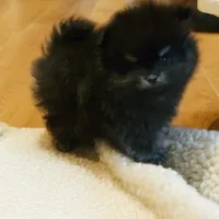 processed/88d7dab5-b272-4f49-bf88-119624c1536f/facility/7e6d33f6-c876-4e9e-b4b4-8ebea721e740