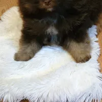 processed/88d7dab5-b272-4f49-bf88-119624c1536f/facility/e358847d-a6de-4caf-9958-25e53e8c6abb